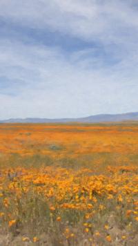 Rocky Mountain Range