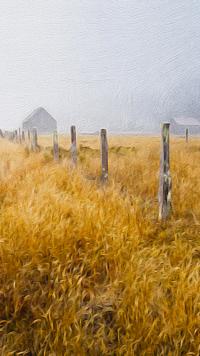 Rocky Mountain Range