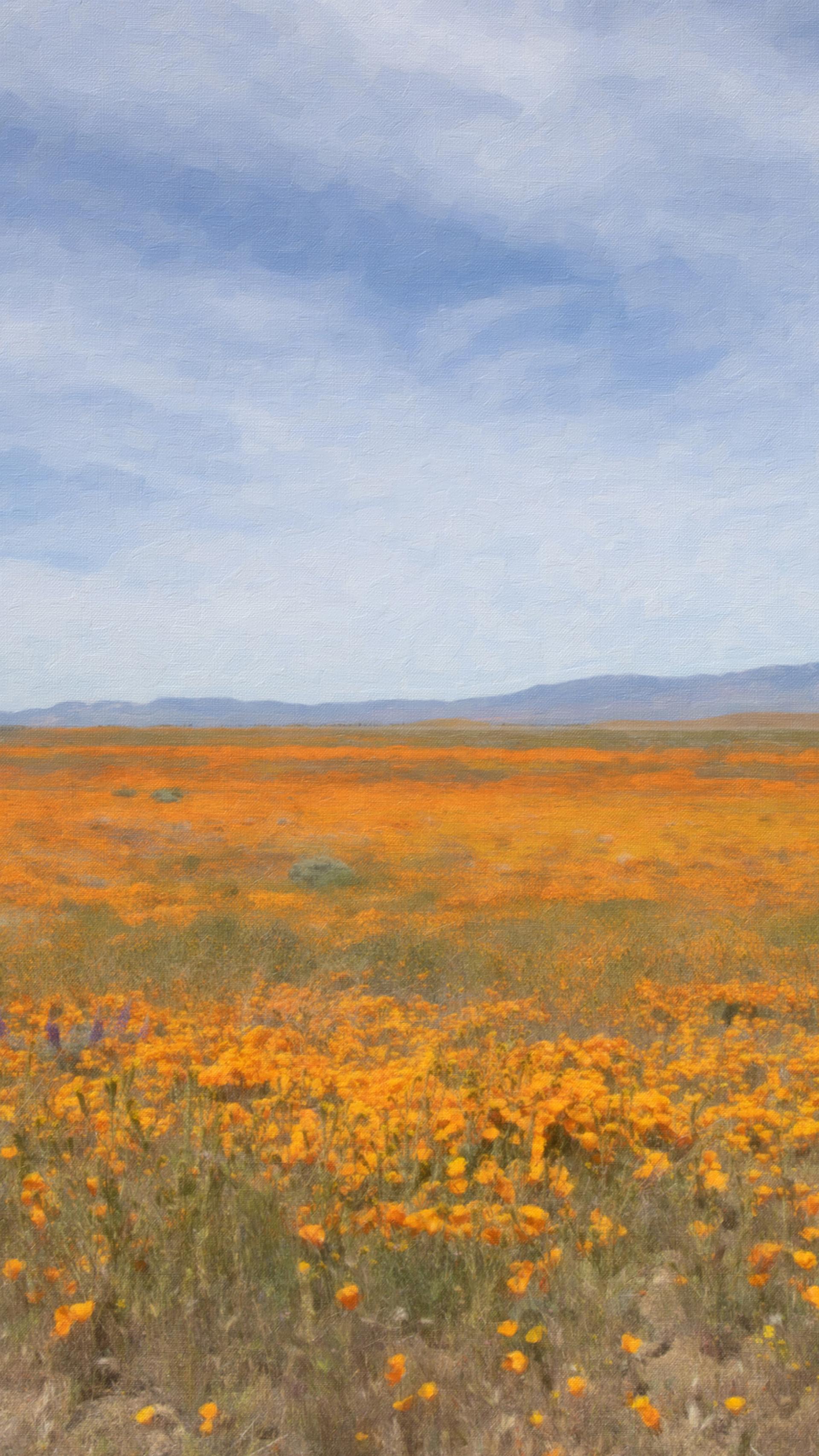 Rocky Mountain Range