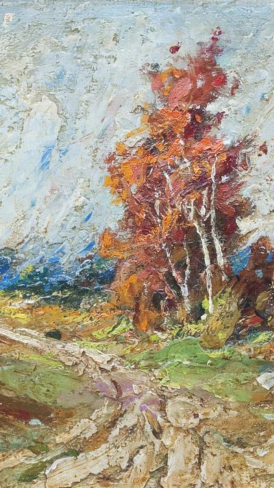 Fall Forest 
