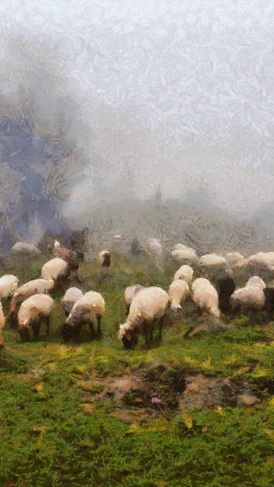 Grazing Sheep 